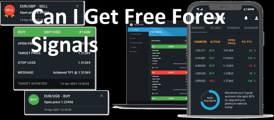 Can I Get Free Forex Signals